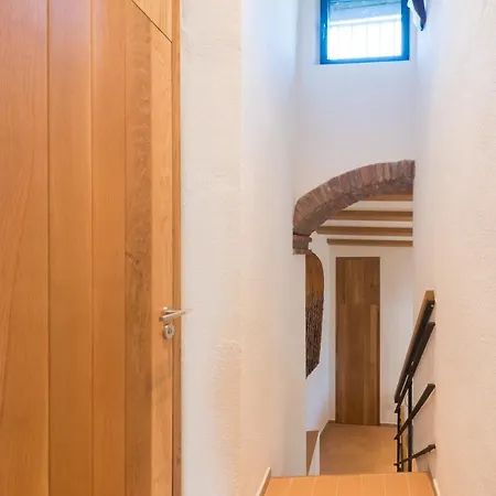 Orman Evi La Piconera