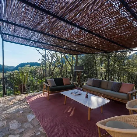 La Piconera Orman Evi