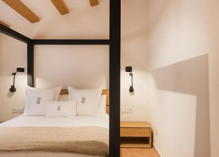 La Piconera 山林小屋